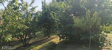 Torpaq sahələrinin satışı: 10 sot, Kənd təsərrüfatı, Mülkiyyətçi, Kupça (Çıxarış) — 2