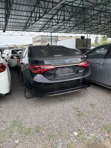 Toyota: Toyota Corolla: 2020 г., 1.8 л, Вариатор, Гибрид, Седан