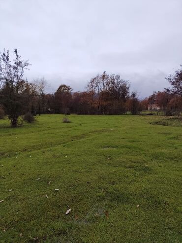 Torpaq sahələrinin satışı: 18 sot, Kənd təsərrüfatı, Mülkiyyətçi, Bələdiyyə — 6
