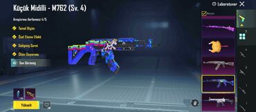 Kucuk midilli sv 4 Realb