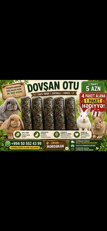 cuce satan: 1 aylıq balaca🐰 İki dovşan götürsəniz, bir-birlərinə yoldaş olarlar — 5