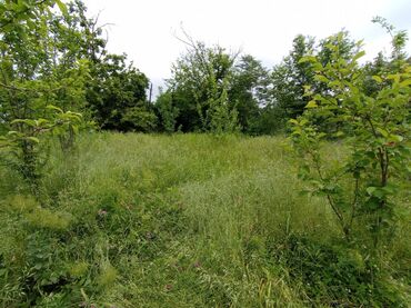 Torpaq sahələrinin satışı: 6 sot, Tikinti, Barter mümkündür, Kupça (Çıxarış) -da lalafo.az — 6 Torpaq sahələrinin satışı: 6 sot, Tikinti, Barter mümkündür, Kupça (Çıxarış) — 6