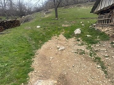 Bağ evlərinin satışı: 🏠 Köhnə ev (tam hazır): 	•	3 otaqlı 	•	2 geniş balkon 	•	Mətbəx, hamam — 7