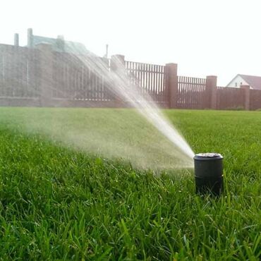 Газон: Газон и Автополив жасайбыз баасы келишим турдо болот! — 2