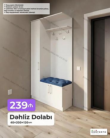 Mebel: Dəhliz dolabı – 40×200×120 sm - Model: asqılık, ayaqqabılıq və şkafı — 1