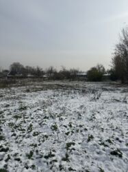 продаю дом в чалдовар: 4 соток, Для сельского хозяйства, Красная книга