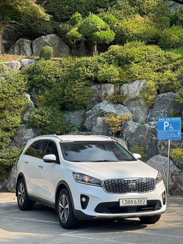 kia ölüxana: Kia Sorento: 2019 г., 2 л, Автомат, Дизель, Кроссовер