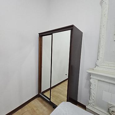 İşlənmiş, 2 qapılı, Güzgülü, Qəhvəyi, Taxta, Kupe, Düz dolab