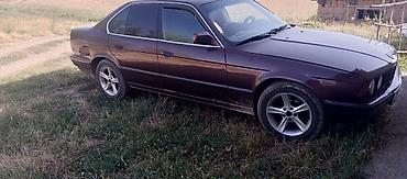 eps блок торнео: BMW 5 series: 1991 г., 2 л, Механика, Бензин, Седан — 1