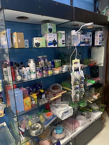 filter akvarium: Magaza baglandıqı ucun vitrınler TECİLİ SATİLİR — 3