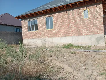 Шыбак устасы. 6 жылдан ашык тажрыйба