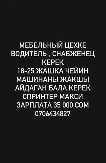 Помощник завскладом. Пишпек