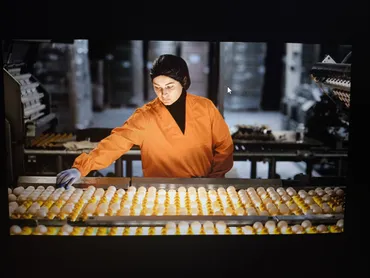 На птицефабрику нужны сотрудники Работодатель принимает на работу, на