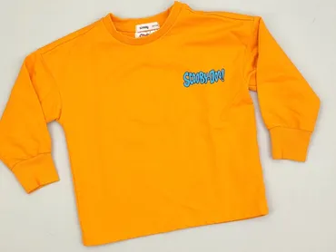 Blouse, SinSay, 3-4 years, 98-104 cm, condition - Perfect