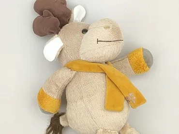 Mascot condition - Very good