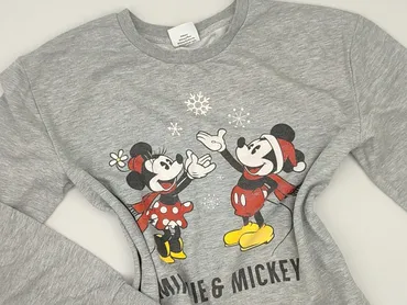 Світшот жіночий, Disney, розмір L
