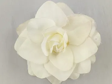 Hair clip, Female, condition - Very good