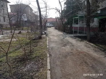 Аймактарды жыйнап тазалоо, Башка Бак-дарактарга кам көрүү