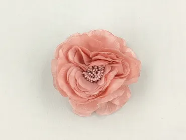 Hair clip, Female, condition - Very good