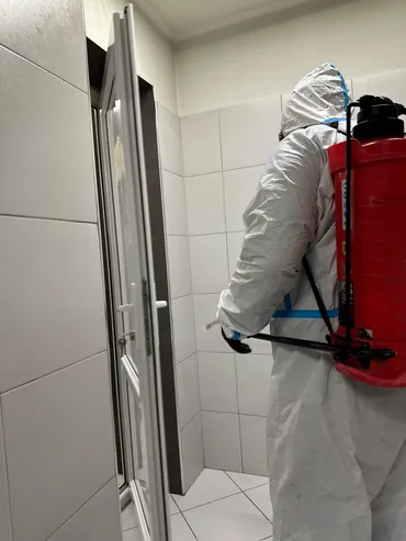 Дезинфекциялоо, дезинсекциялоо, | Канталалар, Бүргөлөр, Таракандар, | Транспорт, Офистер, Батирлер