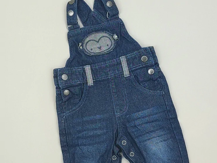 Dungarees, Lupilu, 0-3 months, condition - Ideal