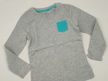 Sweatshirt, Lupilu, 5-6 years, 110-116 cm, condition - Very good