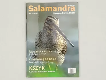 Magazine, genre - Recreational, language - Polski, condition - Perfect