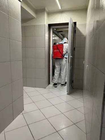 Дезинфекциялоо, дезинсекциялоо, | Канталалар, Бүргөлөр, Таракандар, | Транспорт, Офистер, Батирлер