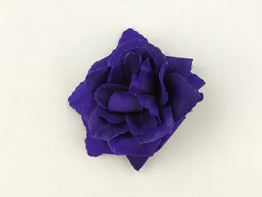 Hair clip, Female, condition - Very good