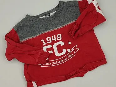 Sweatshirt, 9-12 months, condition - Very good