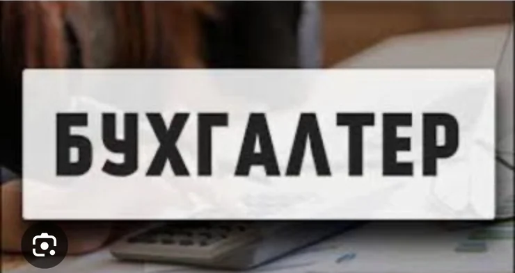 Бухгалтер. Аламедин-1 мкр