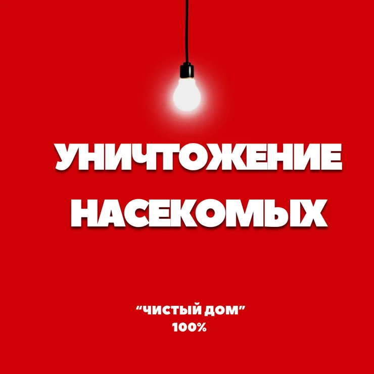 Дезинфекциялоо, дезинсекциялоо, | Вирустар, микробдор, Канталалар, Таракандар, | Үйлөр, Кафелер, дүкөндөр, Батирлер