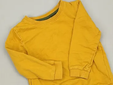 Sweatshirt, So cute, 2-3 years, 92-98 cm, condition - Very good