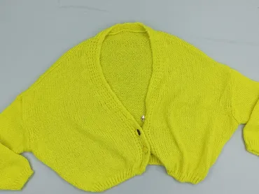 Women`s knitwear