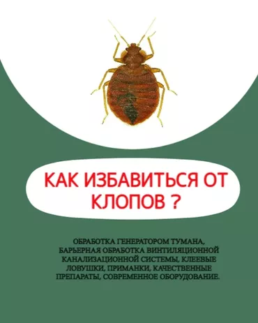 Дезинфекция, дезинсекция, | Клопы, | Офисы, Квартиры, Дома