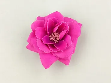 Hair clip, Female, condition - Very good