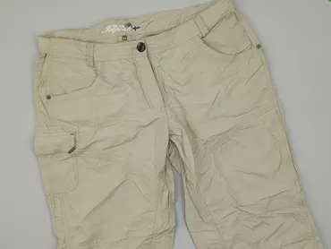 Shorts for men, L (EU 40), condition - Very good