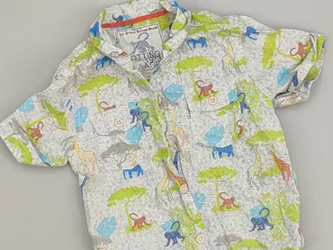 Shirt 2-3 years, condition - Very good, pattern - Print, color - Grey