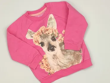 Sweatshirt, Pepco, 6-9 months, condition - Very good
