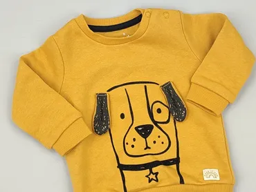 Sweatshirt, 3-6 months, condition - Perfect