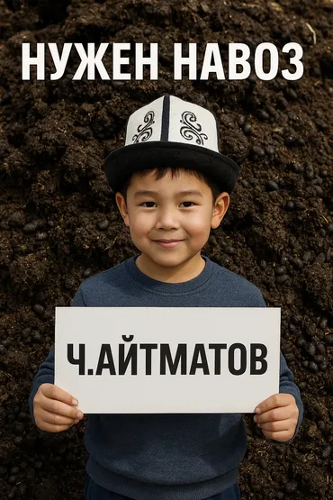 Требуется Разнорабочий, Оплата Почасовая, Без опыта