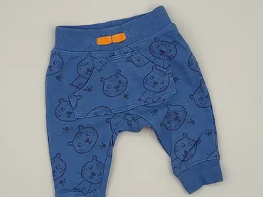 Spodnie dresowe, TEX, 1-3 m, stan - Idealny