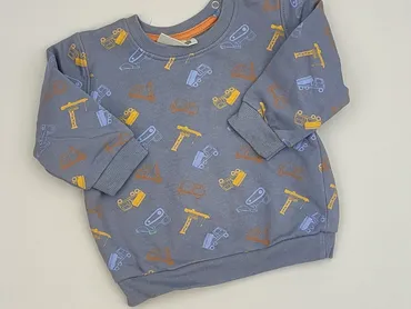 Sweatshirt, Ergee, 9-12 months, condition - Perfect