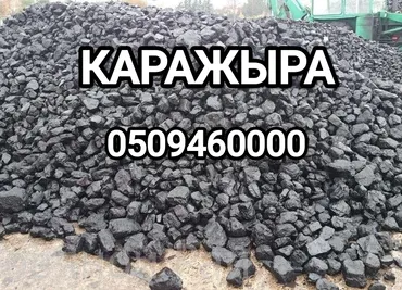 Уголь Кара-Жыра, Бесплатная доставка, Оптом, Фракция: Орех (О), В тоннах