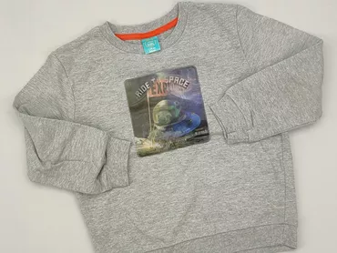Sweatshirt, Little kids, 5-6 years, 110-116 cm, condition - Perfect