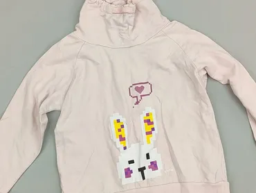 Bluza, Endo, 4-5 lat, 104-110 cm, stan - Bardzo dobry