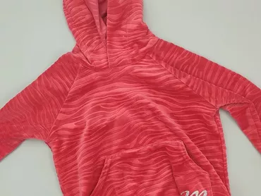 Bluza, 3-4 lat, 98-104 cm, stan - Dobry