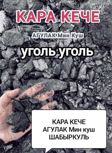Уголь Кара-Кече, Самовывоз, Платная доставка, Оптом, Фракция: Крупный (К), В мешках