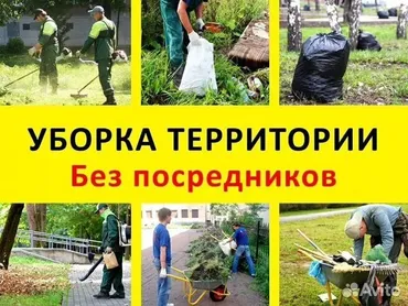 Уборка территории, Уборка двора и сада, Чистка брусчатки, Уход за деревьями