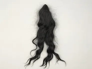 Hair clip, Female, condition - Perfect